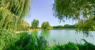 Plan d'eau du Monteuil © Olivier Douard (21).jpg Plan d'eau du Monteuil © Olivier Douard (21).jpg