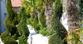 Les extérieurs de la villa Les extérieurs de la villa