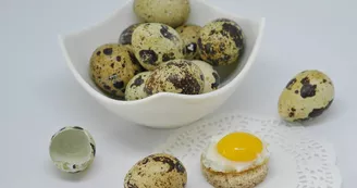 egg-3240281_1920.jpg