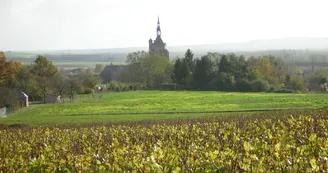 Photo_2.jpg
