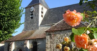 Photo_1.JPG