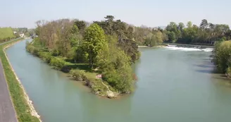 ile olive.JPG