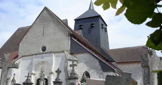 Photo_2.JPG