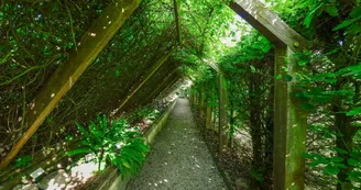 Jardin botanique © Olivier Douard (6).jpg