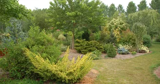 DSC_0025.JPG DSC_0025.JPG