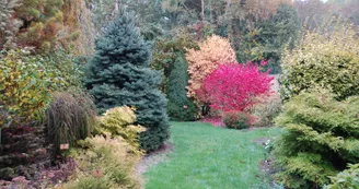 DSC_0243.JPG DSC_0243.JPG