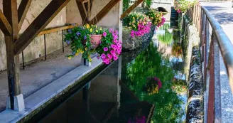 La Noxe (2).jpg