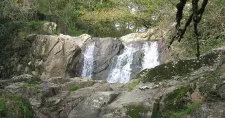 La Forge