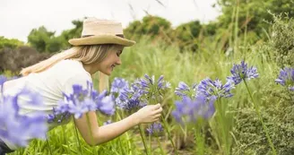 Balade plantes médicinales  à Lincou