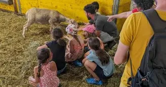 Visite à la ferme Alice et Sylvain avec leur troupeau de brebis laitières Visite à la ferme Alice et Sylvain avec leur troupeau de brebis laitières