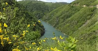 Le Clos d'Edouard