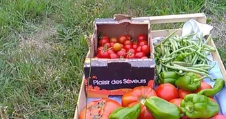 des lys a la ferme légumes des lys a la ferme légumes