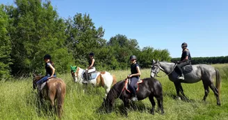 Equitec - Balade