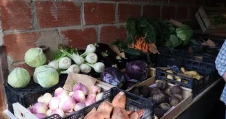 le jardin de bel air_légumes©de_ferme_en_ferme le jardin de bel air_légumes©de_ferme_en_ferme