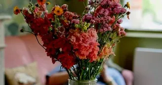 carbonne_cotacote_fleurs@delphinecot