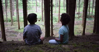 forêt forêt