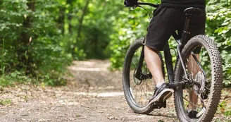 VTT en forêt VTT en forêt