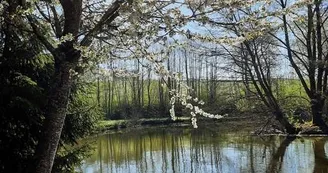 Chambre Les Iris - Lonny - Ardennes Chambre Les Iris - Lonny - Ardennes