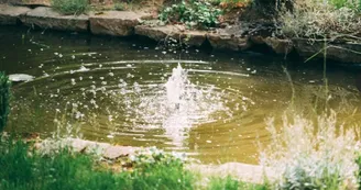 Bruncherie : Querimont Bruncherie : Querimont