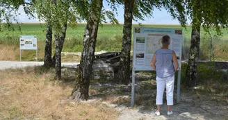 Vestiges du canon de marine allemand