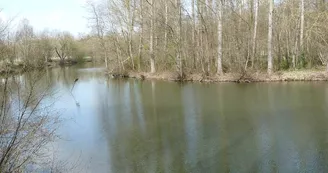 étang vallée de la Retourne