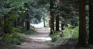 En chemin vers l'Auradou En chemin vers l'Auradou