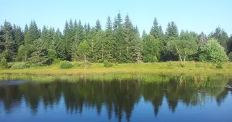 Etang de l'Auradou Etang de l'Auradou