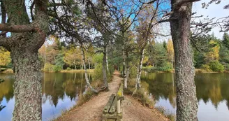 Au milieu de l'étang de l'Auradou Au milieu de l'étang de l'Auradou