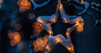 Etoile-de-noel Etoile-de-noel
