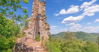 Château de Lutzelhardt Château de Lutzelhardt
