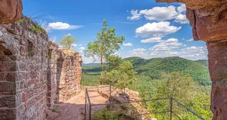 Château de Lutzelhardt Château de Lutzelhardt