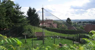 Enclos à cigognes, Oberbronn, Alsace Enclos à cigognes, Oberbronn, Alsace