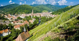 Thann vue du vignoble Thann vue du vignoble