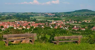 Le Bruderbach Le Bruderbach