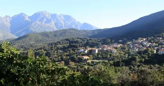 Ucciani