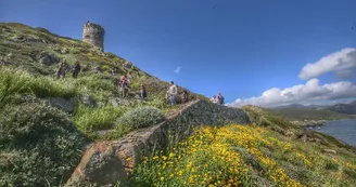 AJACCIO-SANGUINAIRES-VISITE AJACCIO-SANGUINAIRES-VISITE