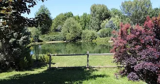 lac1 lac1