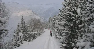 ski rando ski rando