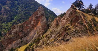 Les gorges du Sègre