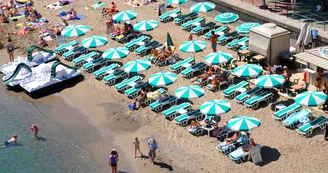 collioure port d avall