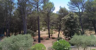Terrain