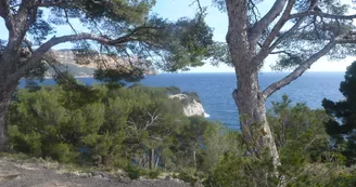 Massif des calanques Marseille