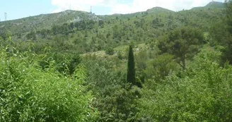 Le Mas des Aludes