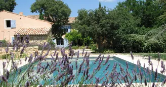 Piscine - Domaine du Coffre