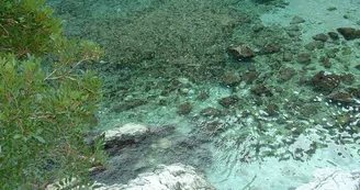Calanque d'En Vau Marseille