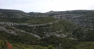 Domaine de Pichauris