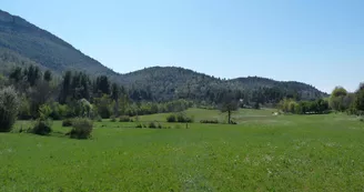 13SNA000013_1_HD.jpg