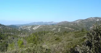 13SNA000013_2_HD.jpg