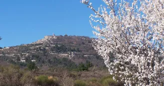 Le Mas des Fontêtes Le Mas des Fontêtes