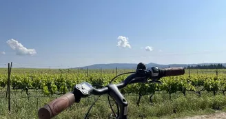 Location de vélo Location de vélo